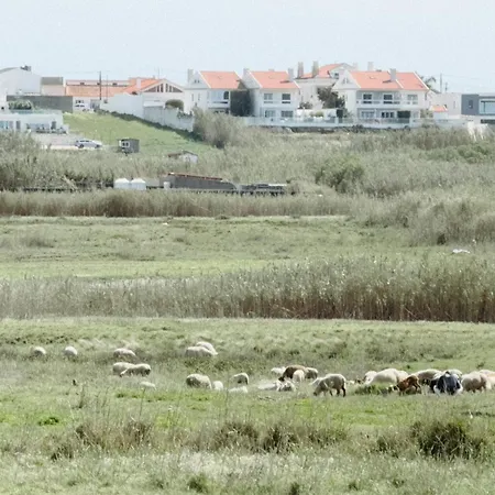 Donothing House - Baleal Ferrel (Leiria)