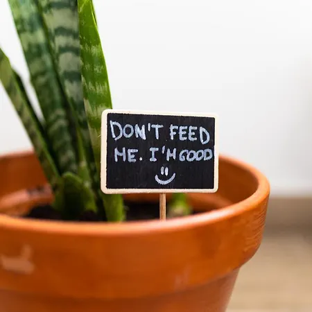 Donothing House - - Baleal Penzion Ferrel (Leiria)